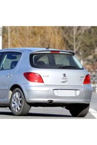 Peugeot-307-2002-2008-Boyasiz-Fiber-Spoiler.jpg